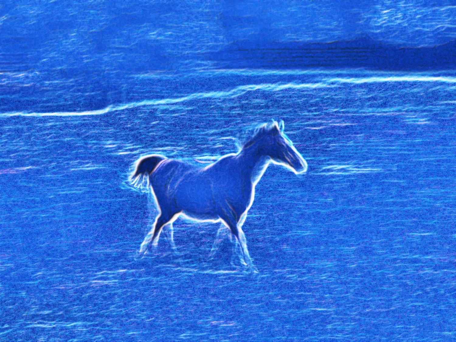 Blue horse - - Blue horse - Kodak P880 - Tony Karp, design, art, photography, techno-impressionist, techno-impressionism, aerial photography , drone , drones , dji , mavic pro , video , 3D printing - Books -
