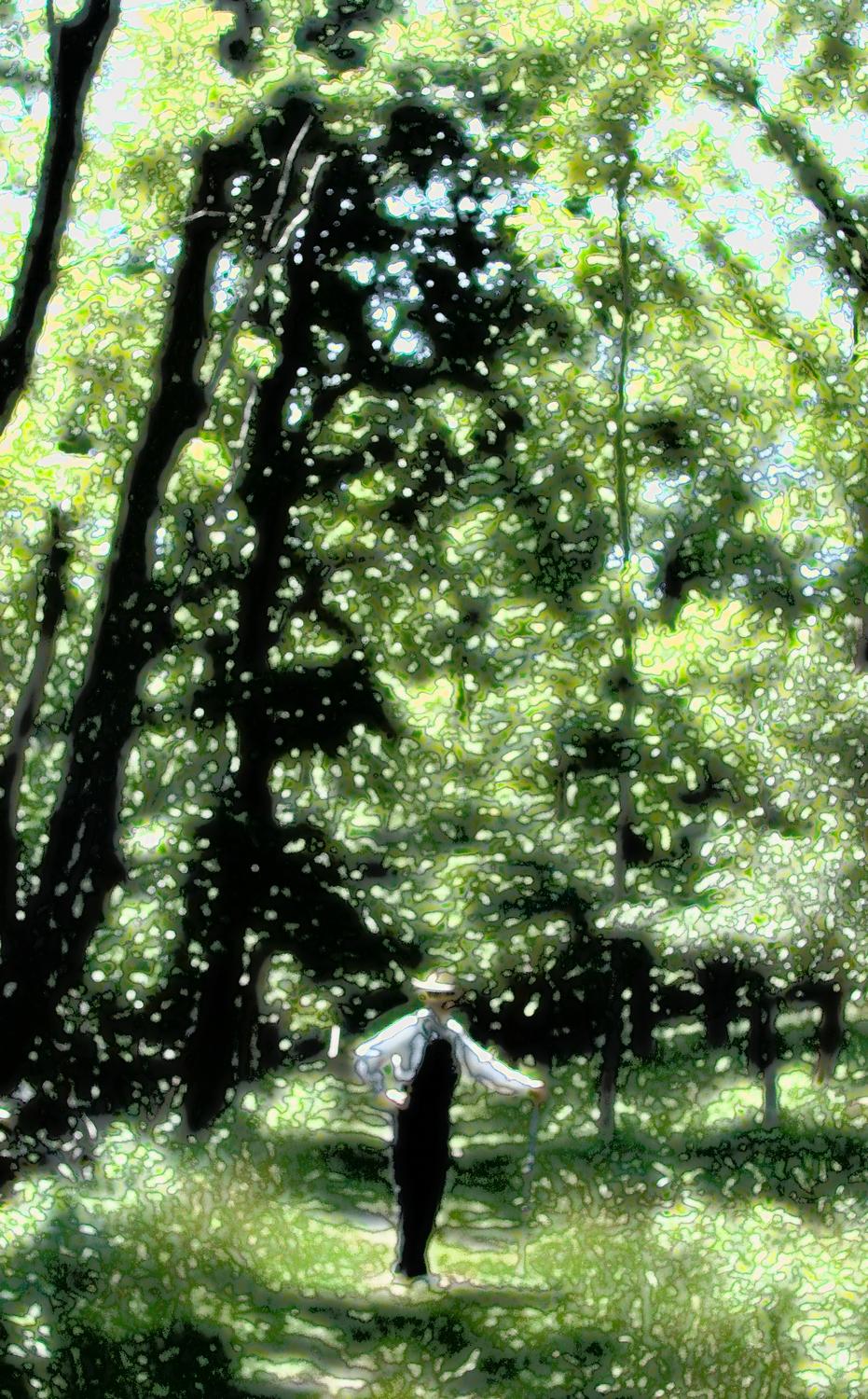  - Tribute to J�zsef Rippl-R�nai - pictures of the Hobbitt - the artist's muse - I did this for Facebook - Tony Karp, design, art, photography, techno-impressionist, techno-impressionism, aerial photography , drone , drones , dji , mavic pro , video , 3D printing - Books -