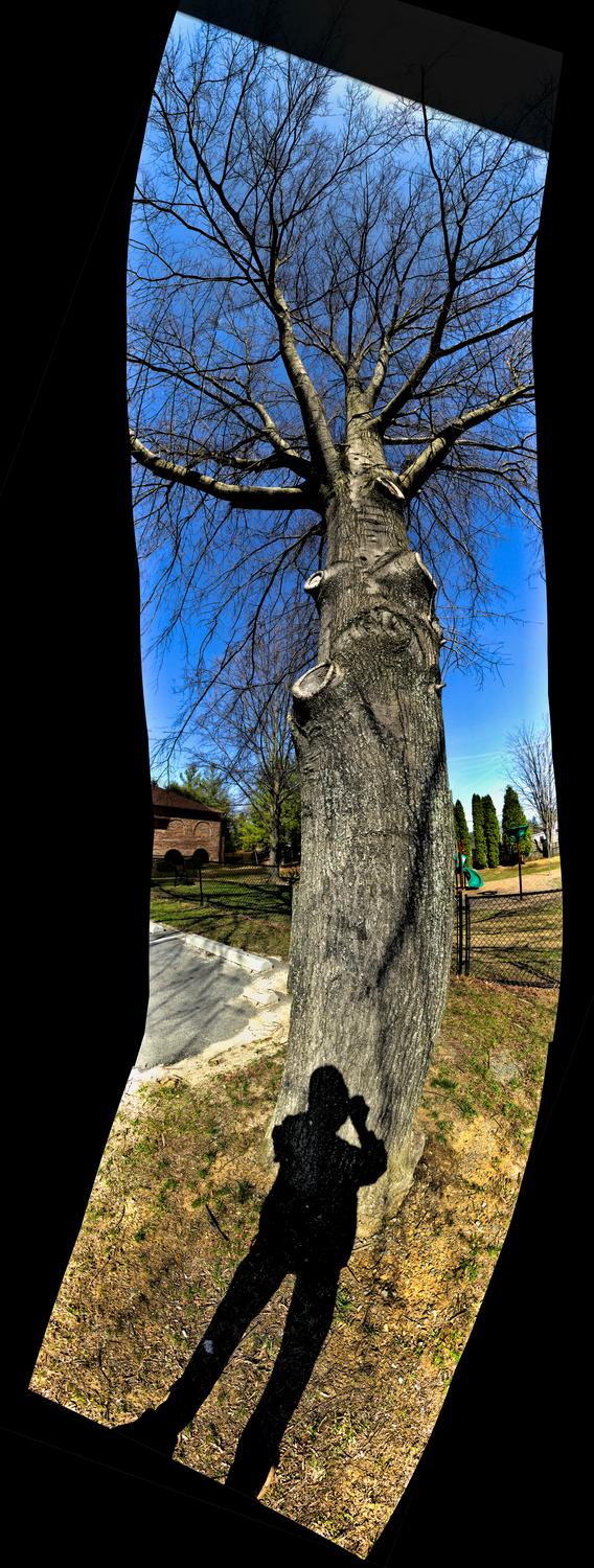  - Twisty-tree self-portrait panorama.  - Panasonic DMC-ZS40 - Panasonic DMC-TZ60 - - Tony Karp, design, art, photography, techno-impressionist, techno-impressionism, aerial photography , drone , drones , dji , mavic pro , video , 3D printing - Books -